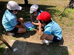日なたと日かげの地面のちがいを調べよう【3年生 理科】 | 初等